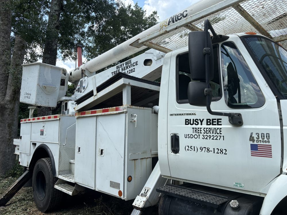 Busy Bee Tree Service