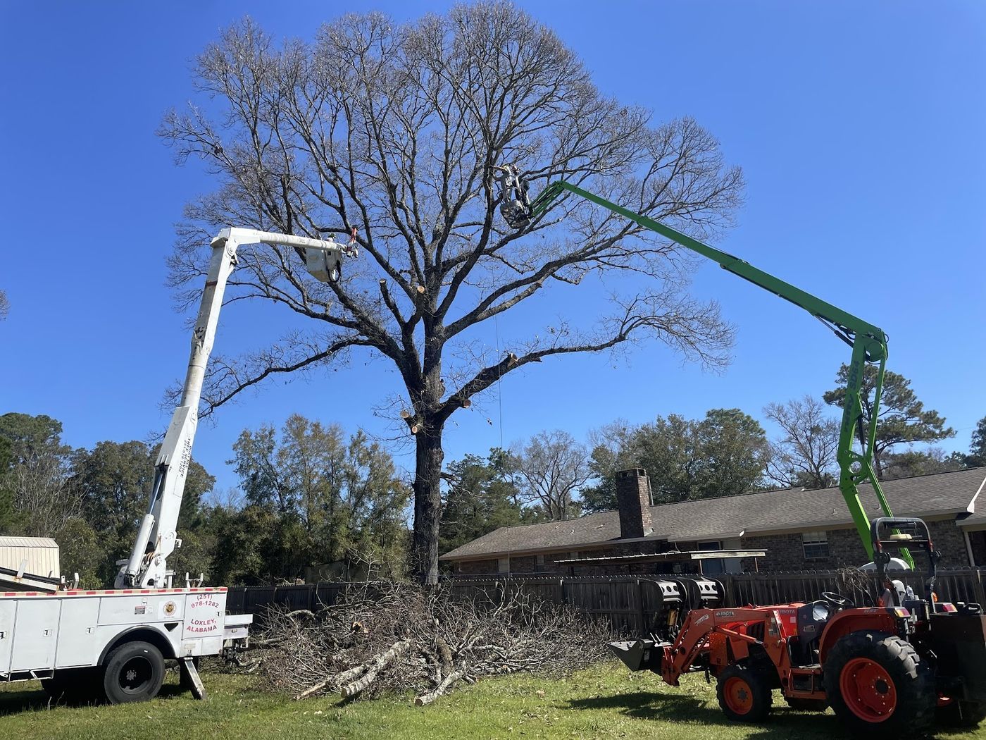 Busy Bee Tree Service in Fairhope